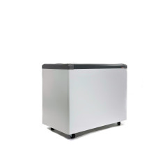 Ларь морозильный Frostor GELLAR FG 350 с прямое стекло серый (пропан)