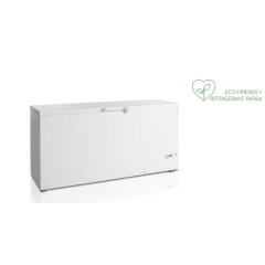 Ларь морозильный TEFCOLD FR605 SL