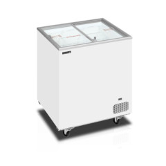 Ларь мор.со стекл.крыш.tefcold IC202SC