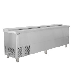 Ларь холодильный для напитков TEFCOLD BHC250X1