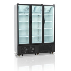 Шкаф холодильный со стеклом TEFCOLD FS1600H