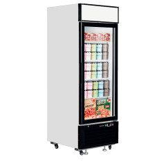 Шкаф морозильный со стеклом TEFCOLD LGF2500